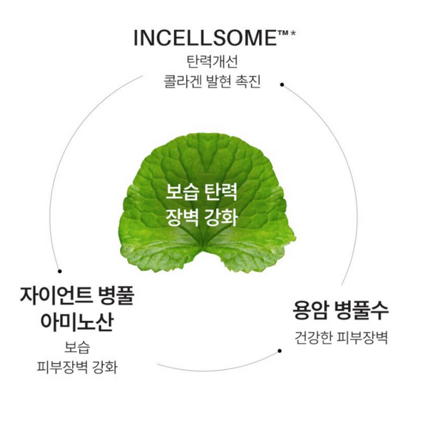 Incellderm Dermatology First Package EX
