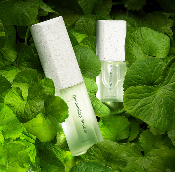 Incellderm Dermatology First Package EX
