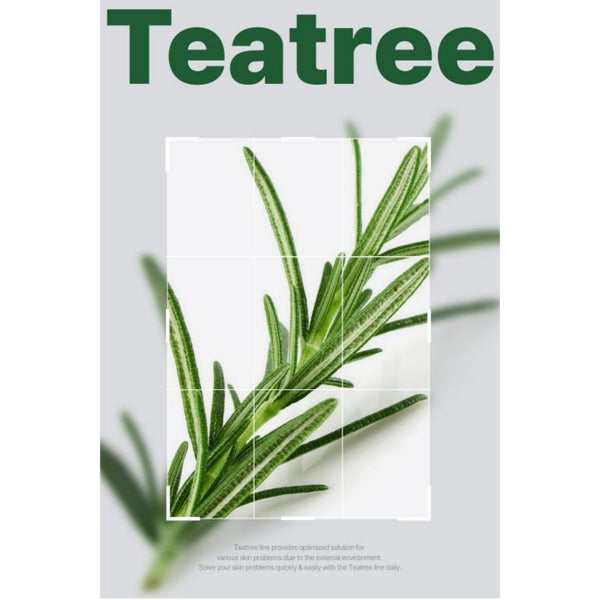 Mediheal Vegan Teatree Calming Moisture Ampoule 50ml