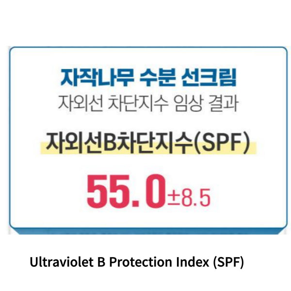 Round Lap Birch Moisture Sunscreen 50ml SPF 50+ PA++++