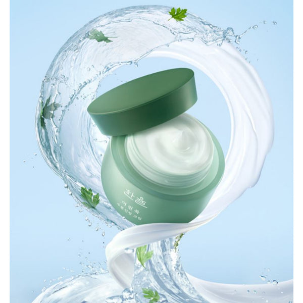 Hanyul Young Mugwort Moisture Soothing Cream 65ml