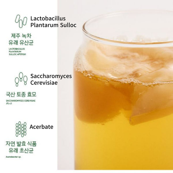 OSULLOC Kombu Cha Calamansi Mango Blending Tea Kombucha Calamango 10PCS